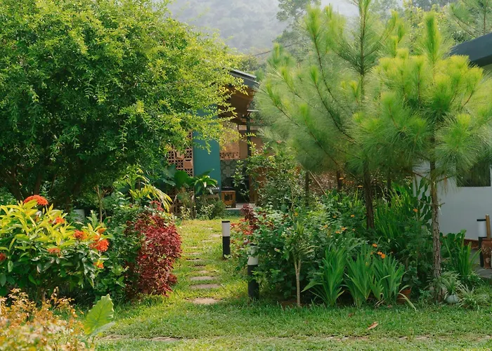 Anna Little Garden - Homestay Soc Son - Thong House